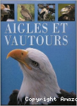 Aigles et vautours