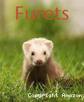 Furets