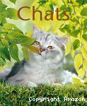 Chats