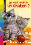 Qui veut adopter un chaton ?