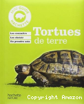 Tortues de terre