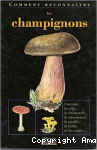 Les champignons