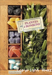 Plantes à bonbons