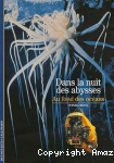 Dans la nuit des abysses : au fond des océans