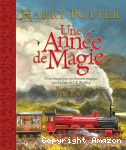 Harry Potter une année de magie