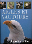 Aigles et vautours
