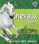 Chevaux